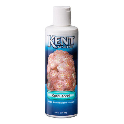 Kent Marine Accel Hard and Soft Growth Stimulator Bottle Coral 8 Fluid Ounces - Aquarium