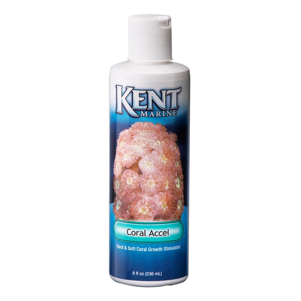 Kent Marine Accel Hard and Soft Growth Stimulator Bottle Coral 8 Fluid Ounces
