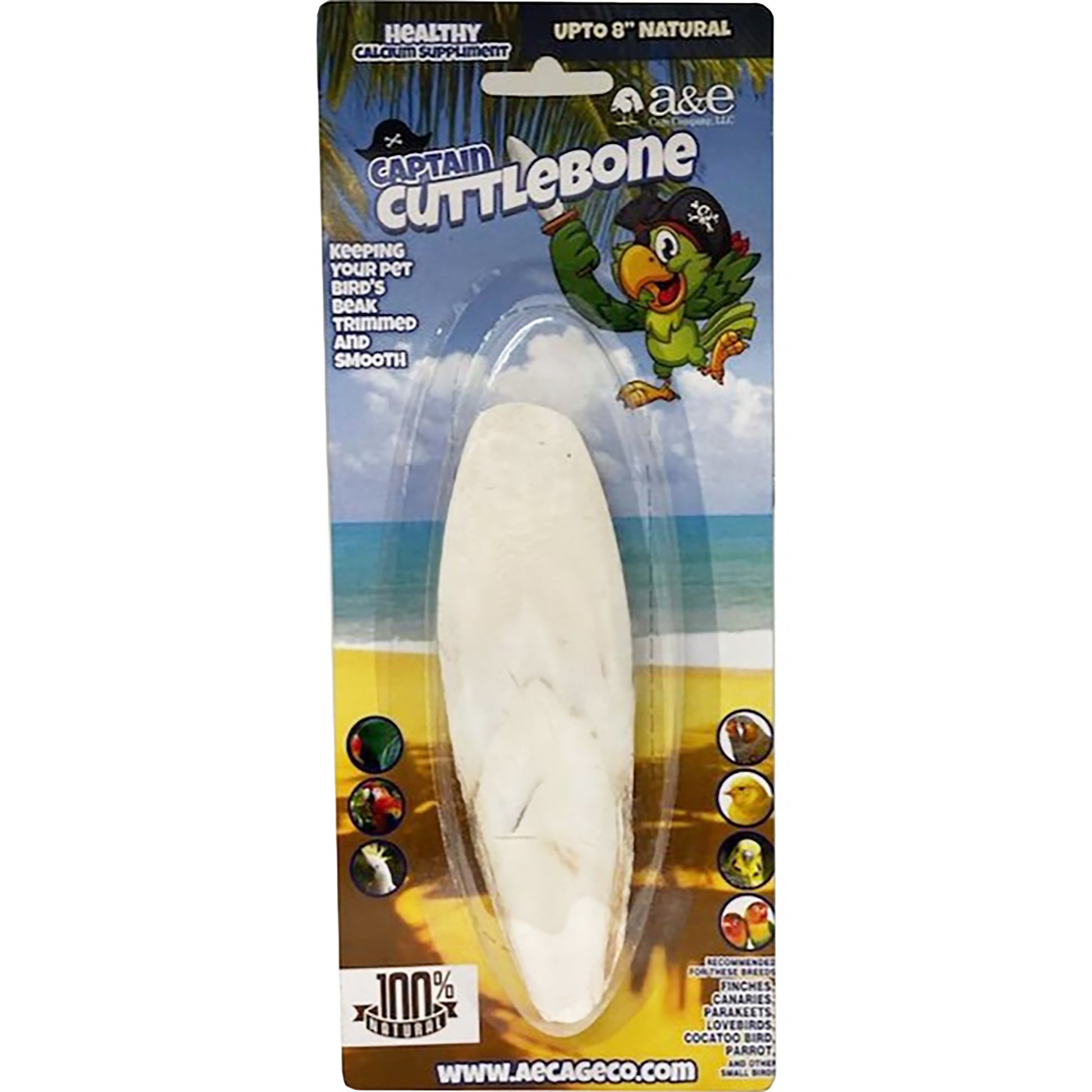 A & E Cages Natural Cuttlebone 8 in 644472014693