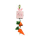A & E Cages Nibbles Bunny/Carrot Box Small Animal Chew Toy 644472004229