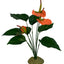 Komodo Anthurium Bush w/ Gravel - Reptile