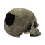Komodo Half Human Skull Reptile Hideout Gray One Size