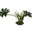 Komodo Jungle Canopy Plant 42cm - Reptile