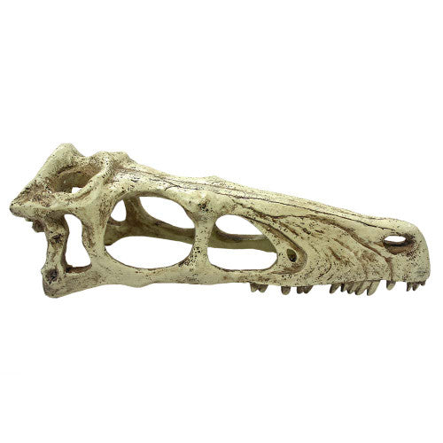 Komodo Raptor Skull Reptile Hideout Tan LG