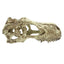 Komodo T - Rex Skull Reptile Hideout Tan XL