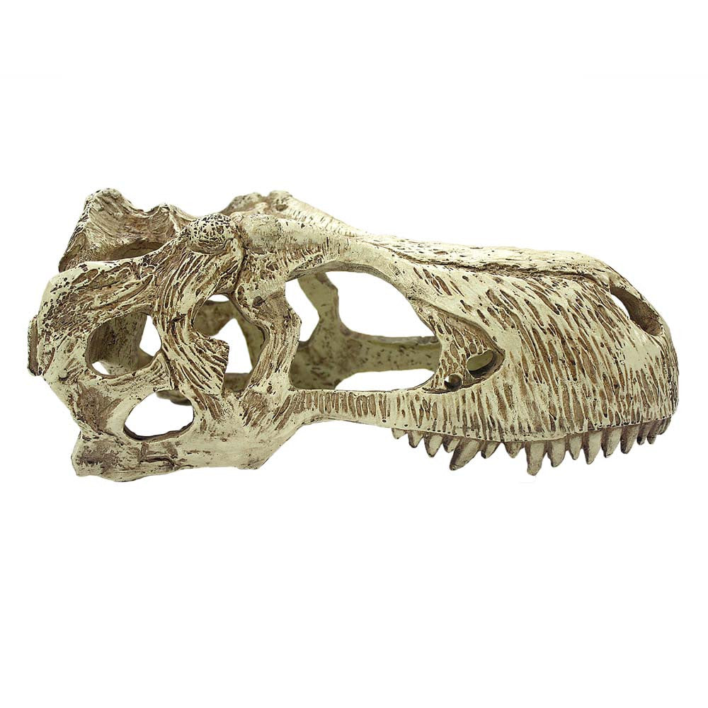 Komodo T-Rex Skull Reptile Hideout Tan XL