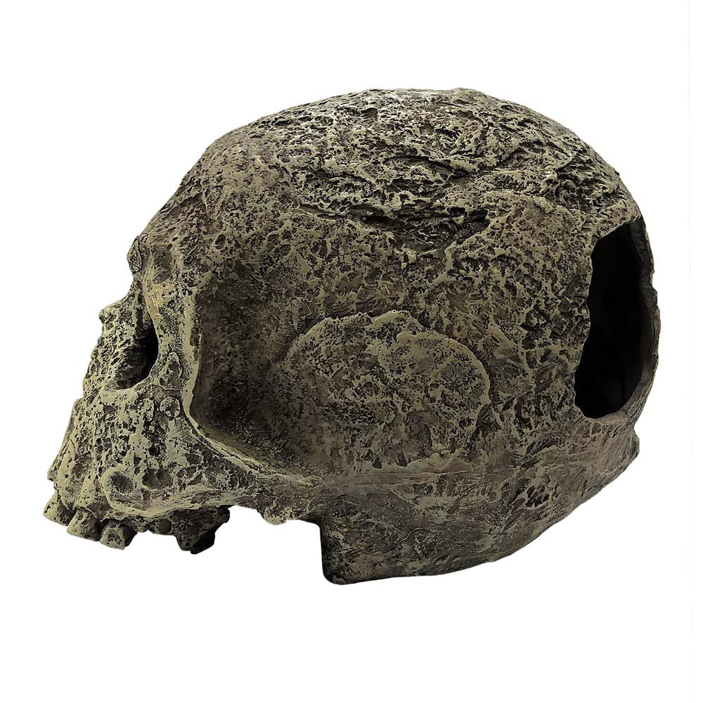Komodo Textured Human Skull Reptile Hideout Gray One Size