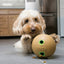 KONG Bamboo Treat Dispenser Dumbbell Dog Toy Tan MD 3.25in