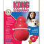 KONG Classic Dog Toy SM