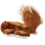 KONG Refillables Catnip Squirrel Cat Toy Brown One Size