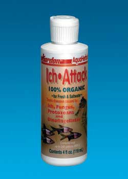 Kordon Ich Attack 4OZ {L + 1} 479048 - Aquarium