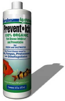 Kordon Prevent Ich 16 OZ {L + 1}479052 - Aquarium