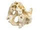 Hikari USA Resin Texas Holey Rock 12 In X 5.9In X 9.5 in 042055963220