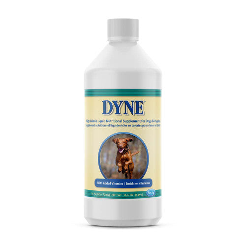 Lambert Kay Dyne High Calorie Liquid Nutritional Supplement for Dogs & Puppies 16 fl. oz - Dog