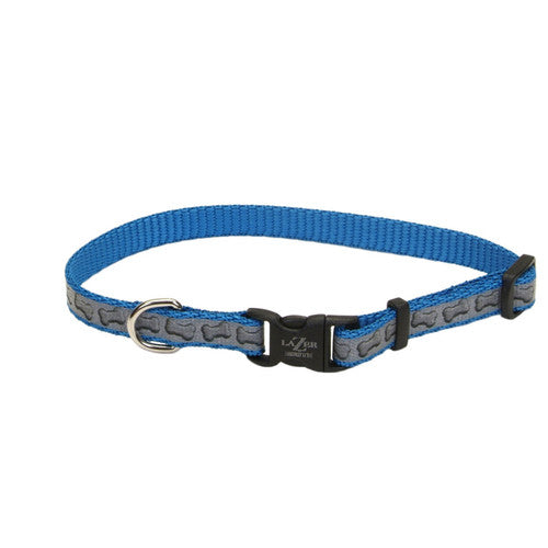 Lazer Brite Reflective Adjustable Dog Collar Turquoise 3/8 in x 8 - 12