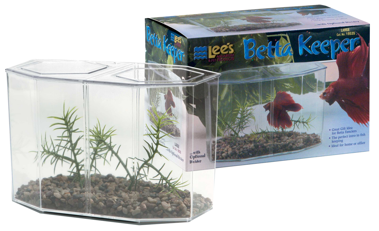 Lees Betta Keeper with Lid Gravel and Plant Clear 60 oz