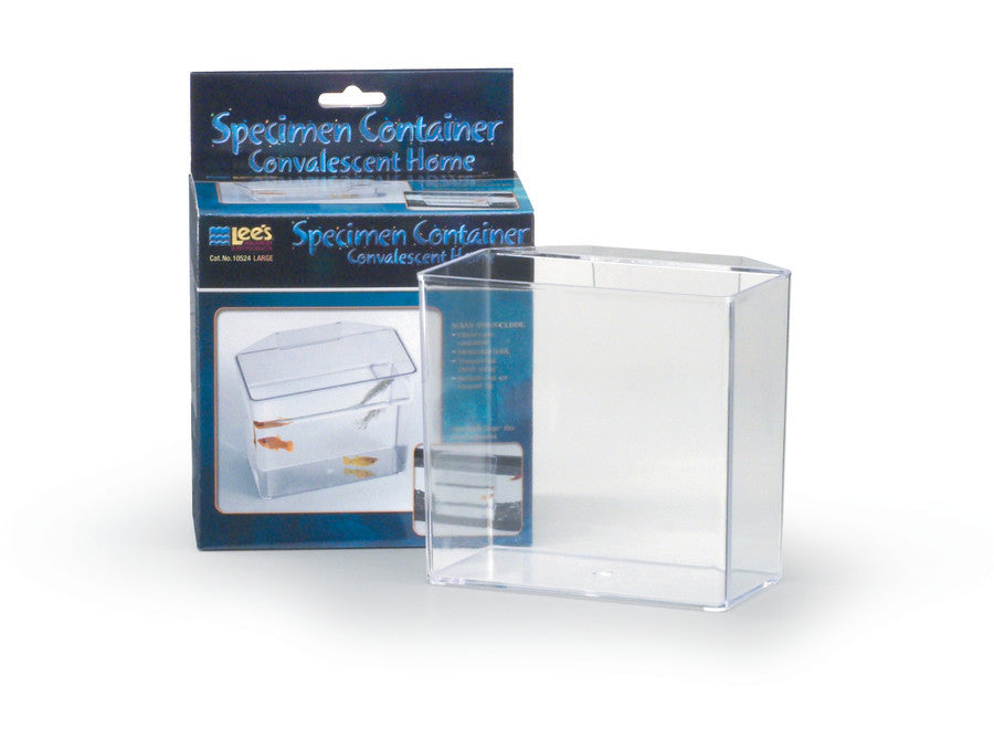 Lees Convalescent Home/Specimen Container Clear LG - Aquarium