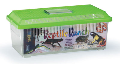 Lees Rectangle Reptile Ranch Assorted 14.37in X 5.93in SM