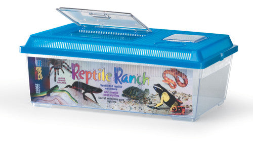 Lees Rectangle Reptile Ranch Assorted 17.75in X 6.87in LG