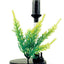 Lees Round Bowl Filter Black Clear 4 in - Aquarium