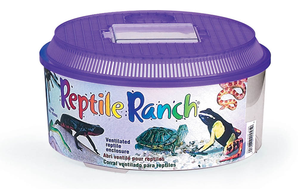 Lees Round Reptile Ranch Purple, Clear 10.37 in x 5.5 in