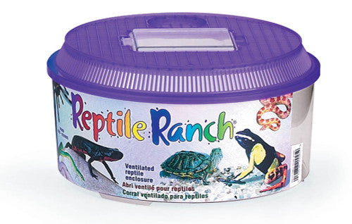 Lees Round Reptile Ranch Purple Clear 10.37 in x 5.5