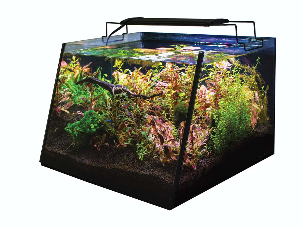 Lifegard Aquatics Full-View Aquarium with Built-in Back Filter Complete Kit Black, Clear 7 gal