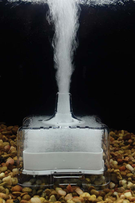 Lifegard Aquatics Mini - Bubble Filter Clear - Aquarium