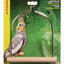 Living World Cockatiel Swing Wood Perch 81515{L+7} 080605815155