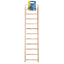 Living World Wooden Ladder - 11 Steps 81504{L+7 } {RR} 080605815049