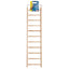 Living World Wooden Ladder - 11 Steps 81504{L + 7 } {RR} Bird