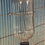 Lixit Glass Water Bottle 16oz-97152 {L-1}671061 SD-10 076711003753