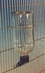 Lixit Glass Water Bottle 8oz - 97163 {L + 1}671060 - Small - Pet