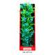 Aquatop Vibrant Passion Plant Turquoise 16 in 810074880183