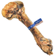 Barkworthies Femur Bone 816807011251