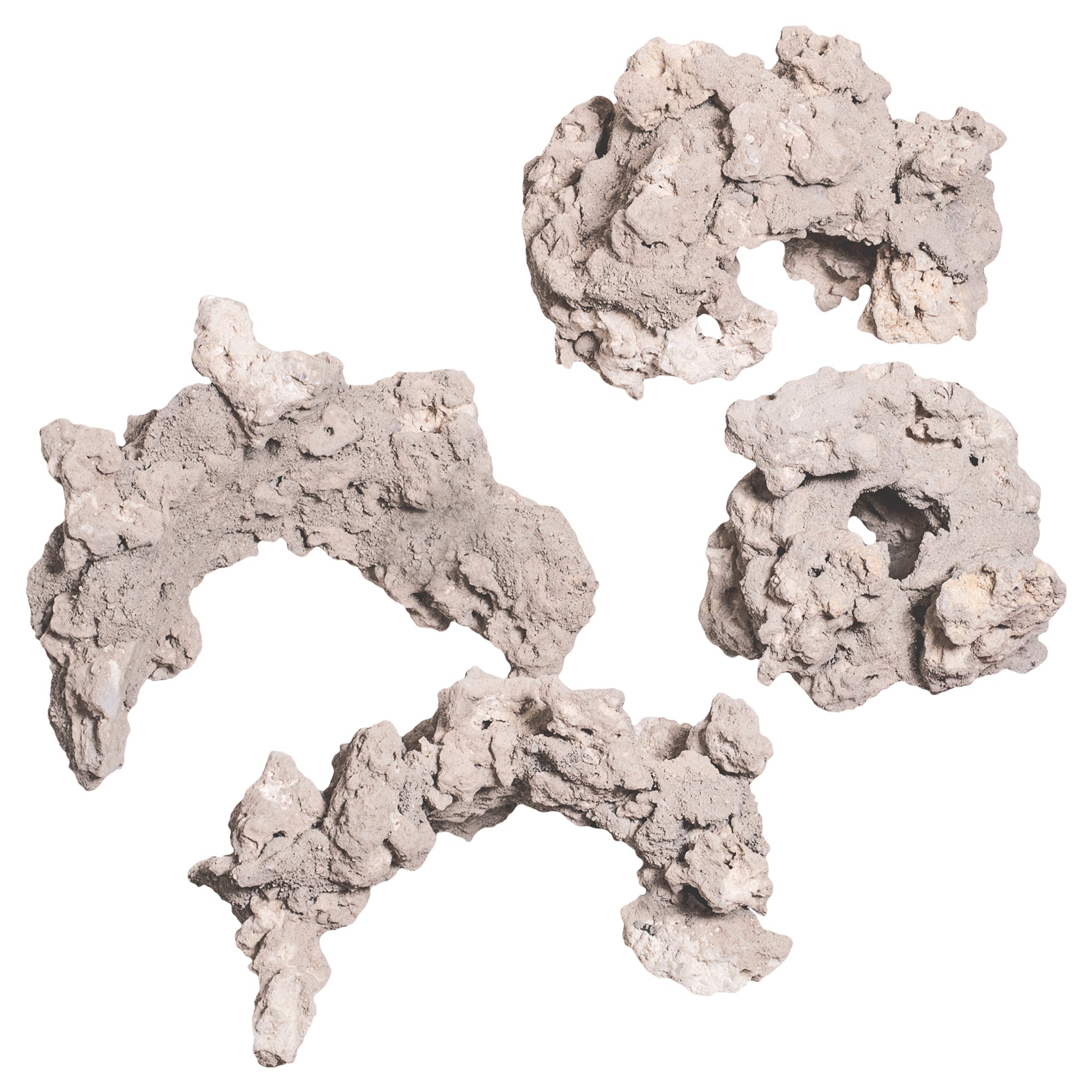 CaribSea South Seas Shapes Cave & Donut Arches 12 in, 2 pk 008479002815