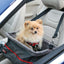 Mag Kong Secure Booster Seat{L - 1} 810008 - Dog