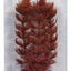 Marina Aquascaper Plant Foxtail 12073{L + 7} - Aquarium