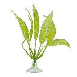 Marina Betta Kit Plant, Amazon Sword 12079{L+7} 015561120791