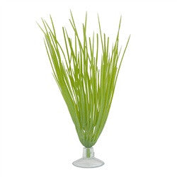 Marina Betta Kit Plant Hairgrass 12080{L + 7} - Aquarium