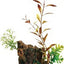 Marina Deco - wood W/ /plant Medium 12061{L + 7} - Aquarium