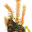 Marina Deco - wood With Plant Large 12062{L + 7} - Aquarium