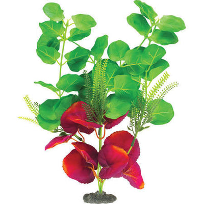 Marina Naturals Indigo and Deep Red Moneywort Plant Large Pp125{L + 7} - Aquarium