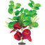 Marina Naturals Indigo and Deep Red Moneywort Plant Large Pp125{L+7} 080605101258