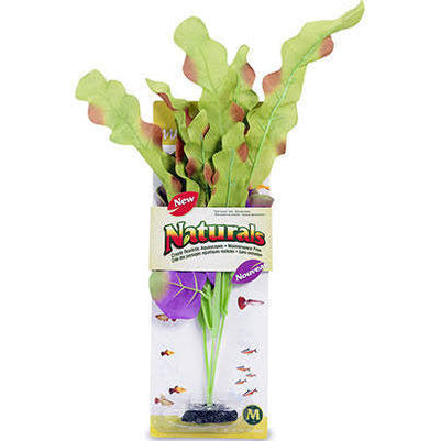 Marina Naturals Indigo and Green Waffleleaf Plant Large Pp109{L+7} 080605101098