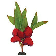 Marina Naturals Red and Green Sword Leaf Plant Medium Pp110{L+7} 080605101104