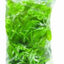 Marina Plastic Plant Tetra Cichlid Small Pp133{L + 7} - Aquarium