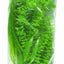 Marina Plastic Plant Variety Pack Jumbo Pp132{L + 7} - Aquarium