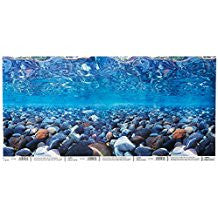 Marina Precut Backgrnd 12x24 River Green 11934{L + 7} - Aquarium