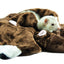 Marshall Bear Rug for Small Animals Brown - Small - Pet